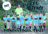 5x7 baileys fence team
