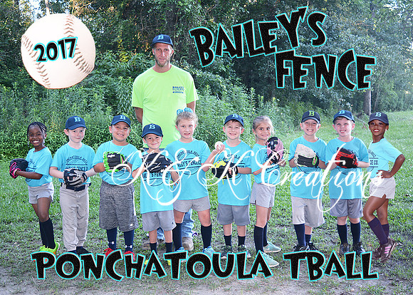5x7 baileys fence team