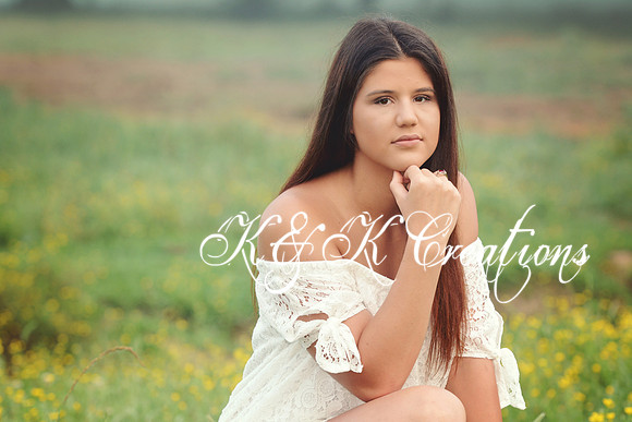 KRS_0119