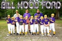 8X12 7-8B BILL HOOD FORD TEAM