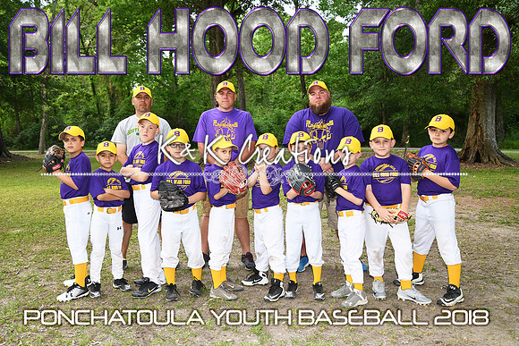 8X12 7-8B BILL HOOD FORD TEAM