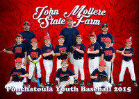 john_mollere_state_farm_team5x7