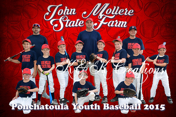 john_mollere_state_farm_team