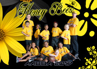 HONEY BEES