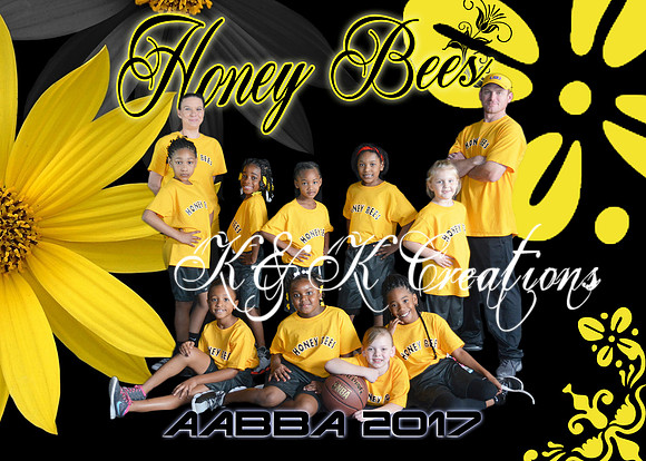 5x7 Honey Bees TEAM AABBA