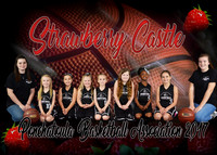 5-6 girls Strawberry Castle