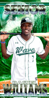 BASIEL WILLIAMS SENIOR BANNER