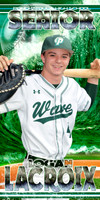 LOGAN LACROIX SENIOR BANNER