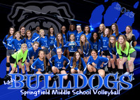 Springfield Middle Volleyball 2016