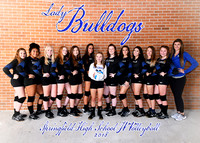 Springfield High Volleyball 2018