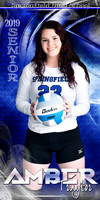 amber traylor banner