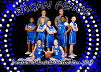 Ragan Fence 9-11 Girls