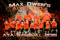 max owens team 8x12