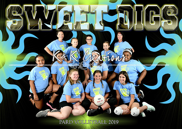 5x7 sweet digs team coach hollie