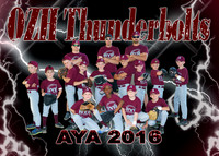 5X7 OZH THUNDERBOLTS TEAM