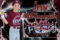 JESSE CRAIN memory mate