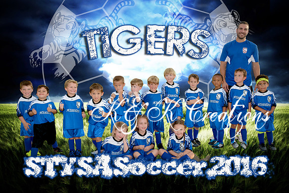 tantillo _tigers_1