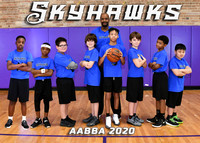 SKY HAWKS