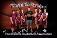 13-14 boys Hoopsters