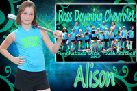 Alison Hoyt Memory Mate