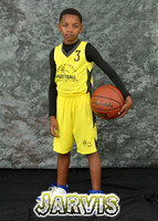 jarvis_labee_1