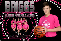 briggs mitchel memory  mate