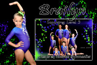 brailyn wilson memory mate
