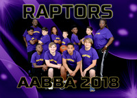 RAPTORS