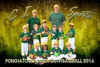 CI SPorts