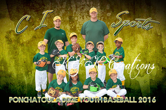 cisports_team