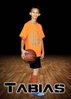 tabias_mcgee_1