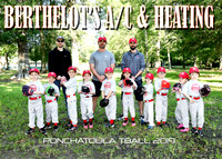 5X7 TBALL BERTHELOTS TEAM