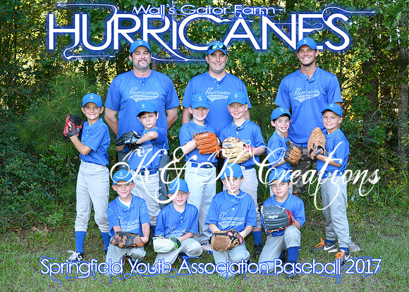 5X7 WALLS GATOR HURRICANES TEAM