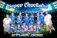 Super Cheetahs