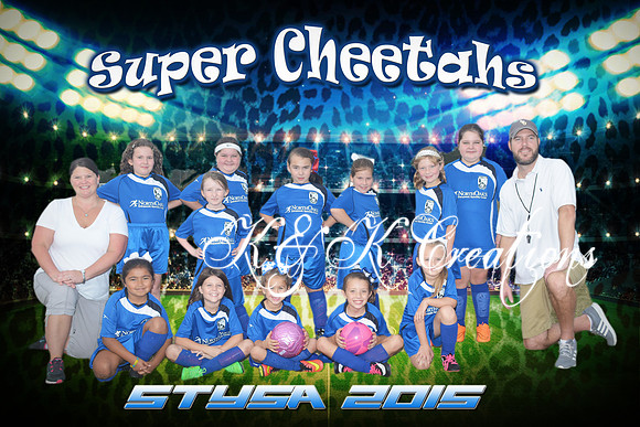 super_cheetahs_team