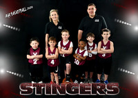 Boys 4-5-6 Team 3 Stingers