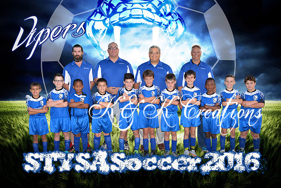 vipers_alfanso_team