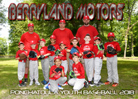 5x7 6cp berryland motors team