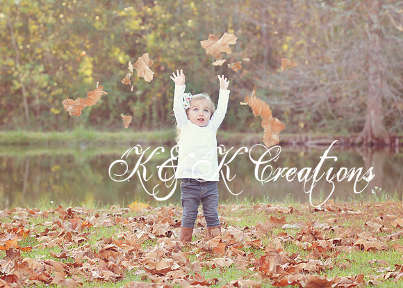 KRS_0991_1