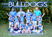 5X7 CHILDERS BULLDOGS TEAM