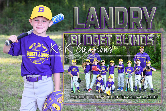 LANDRY RAIFORD MEMORY MATE