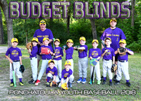 6 Coach Pitch Budget Blinds