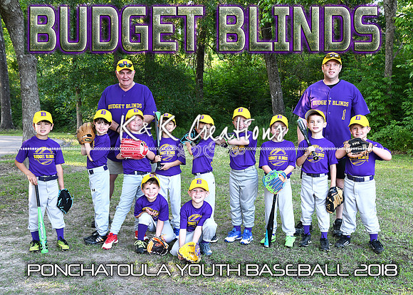 5x7 6cp BUDGET BLINDS TEAM