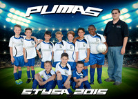 Pumas