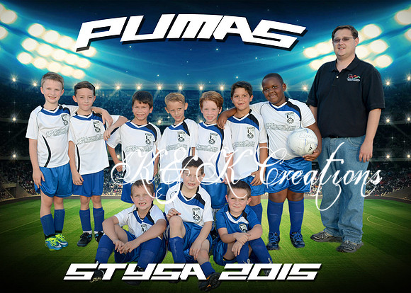 sytsa_puma_u8_5x7