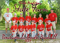 5x7 PHILIP BANKSTON STATE FARM TEAM