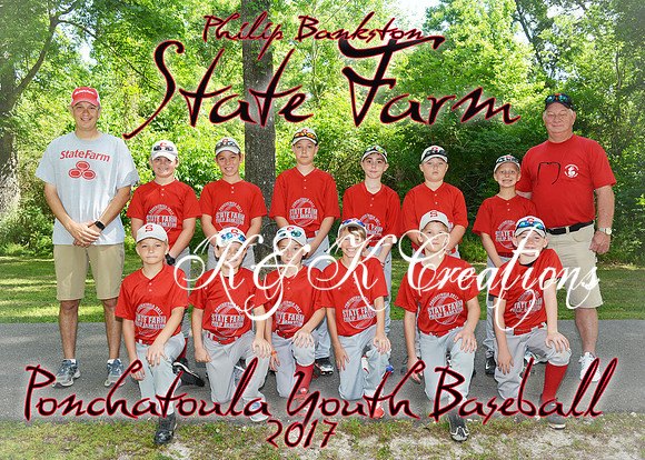 5x7 PHILIP BANKSTON STATE FARM TEAM