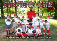 5X7 TBALL STRAWBERRY CASTLE TOO TEAM