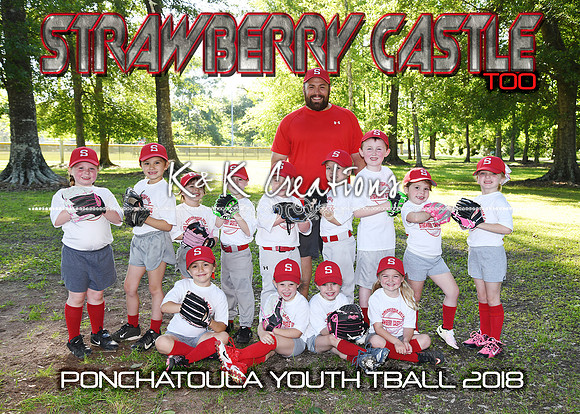 5X7 TBALL STRAWBERRY CASTLE TOO TEAM