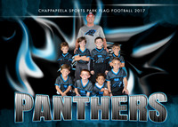 5X7 PANTHERS FOOTBALL TEAM 6-8YR